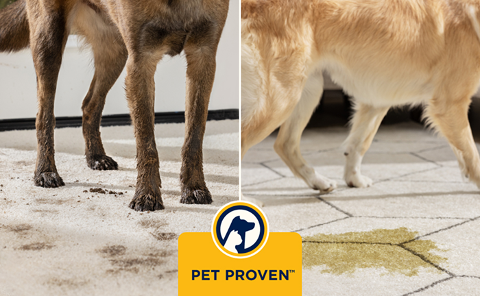 Pet Proven-zertifiziert