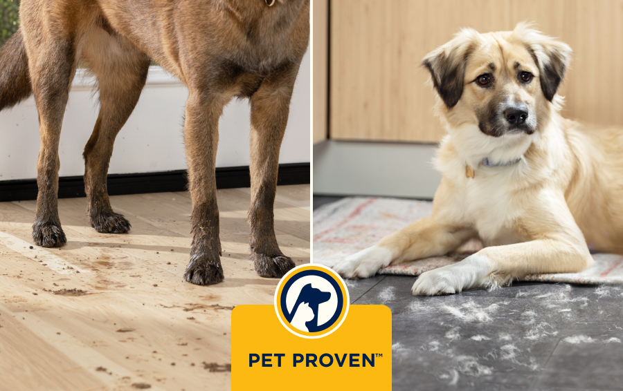 Entwickelt für die effiziente Reinigung von Haustierschmutz