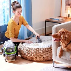 SpotClean Pet Pro