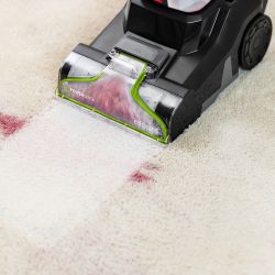 PowerWash Pet 