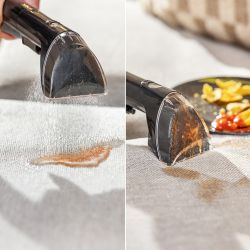 PowerWash Pet 